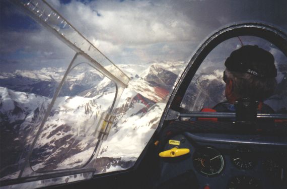 Hardy above the snow of Massif des Ecrins